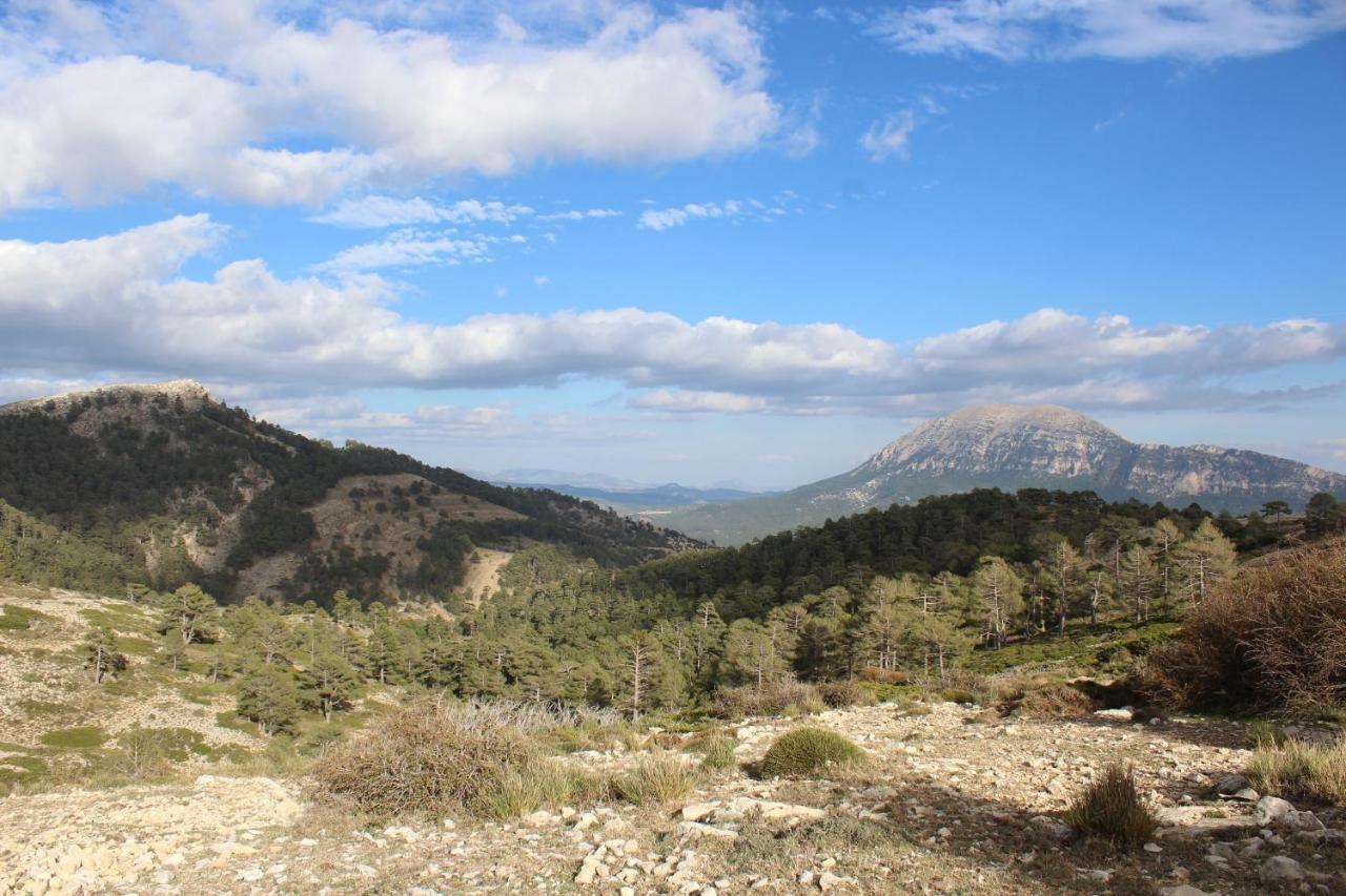 La Noguera Casa Rural Huéscar Buitenkant foto